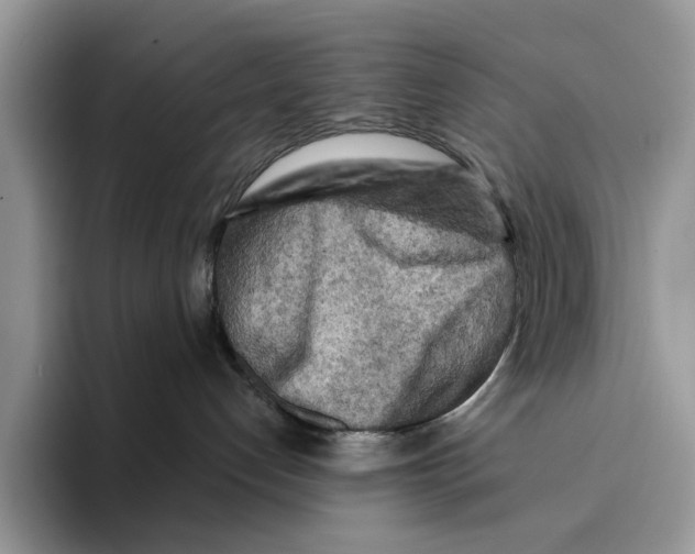 X0000094330192200711301236