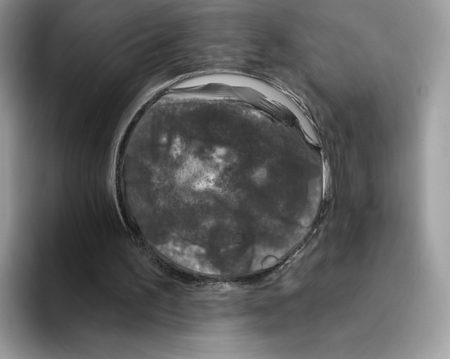 X0000094330195200711301235