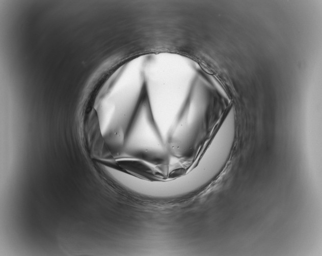 X0000094330197200711301235