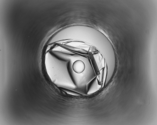 X0000094330199200711301235