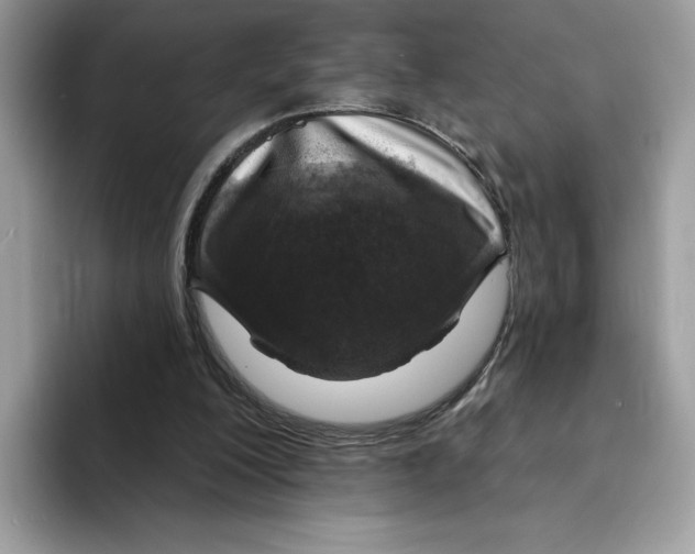 X0000094330200200711301235