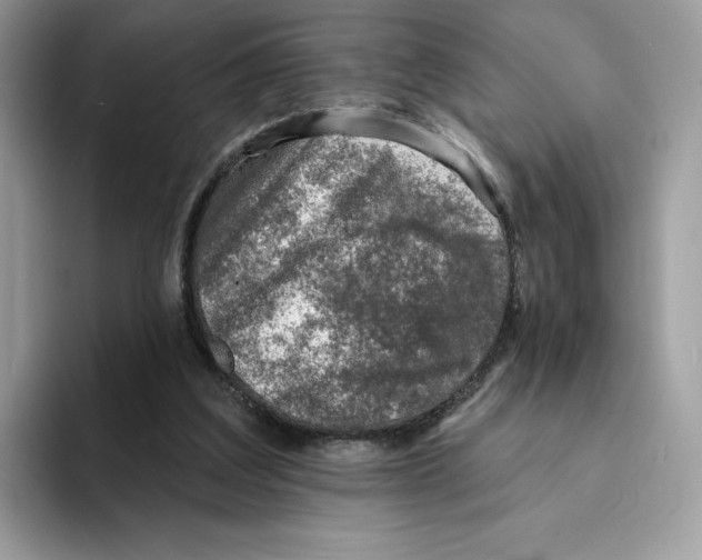 X0000094330203200711301235