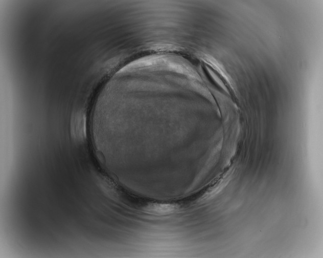 X0000094330205200711301235