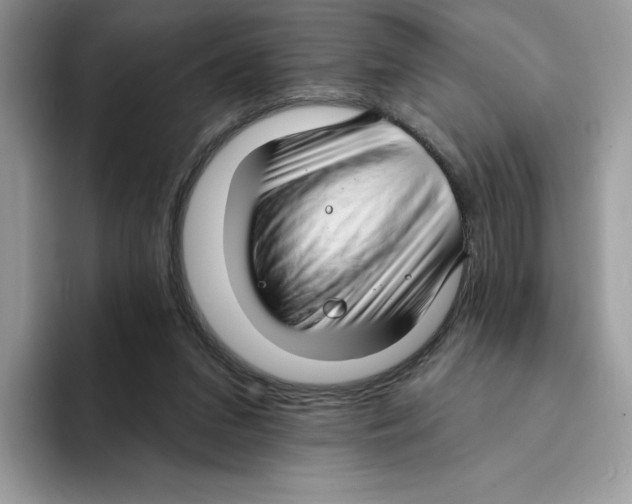 X0000094330207200711301235