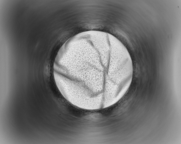 X0000094330210200711301235