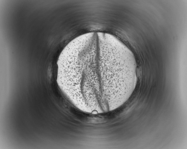 X0000094330215200711301235