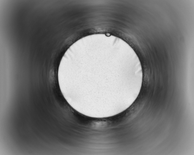 X0000094330220200711301235