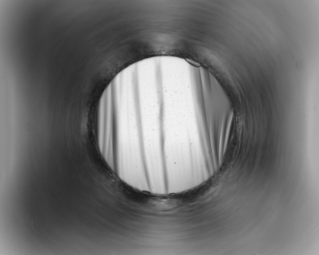 X0000094330221200711301235