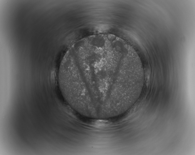 X0000094330222200711301235