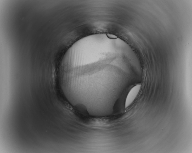 X0000094330223200711301235