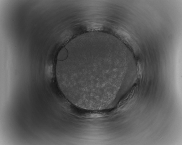 X0000094330224200711301235