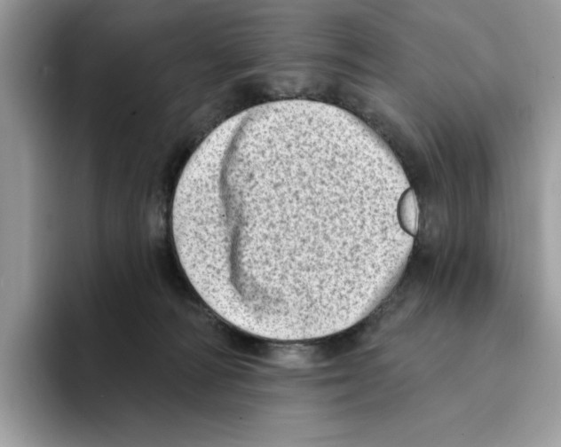 X0000094330226200711301235