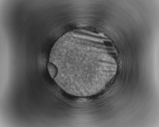 X0000094330227200711301235