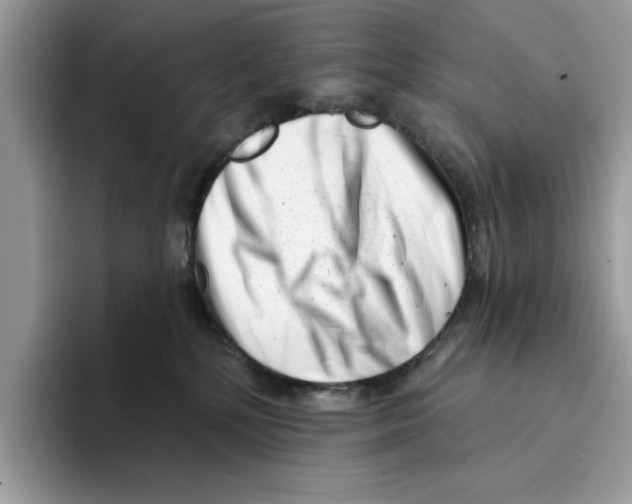 X0000094330232200711301235