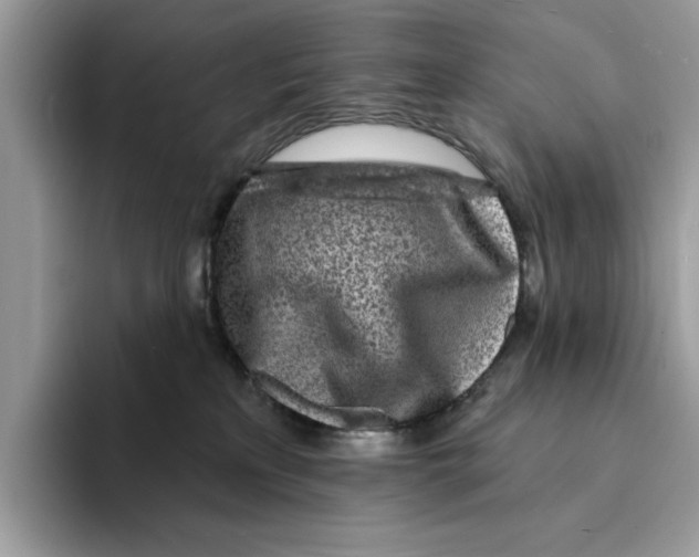 X0000094330233200711301235