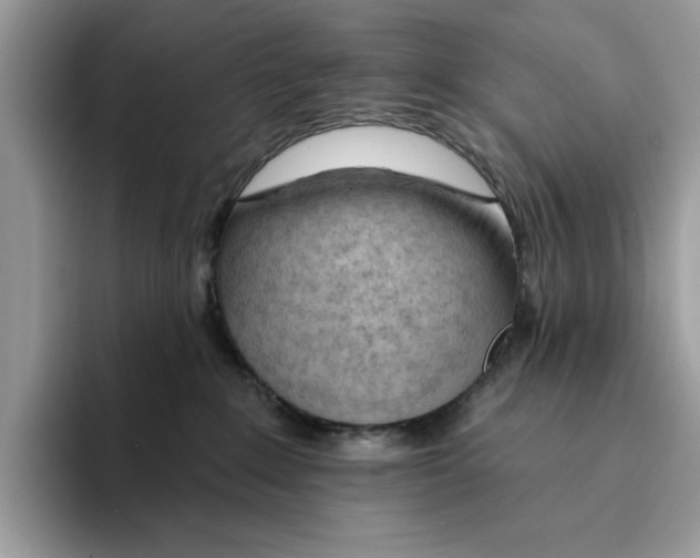 X0000094330235200711301235