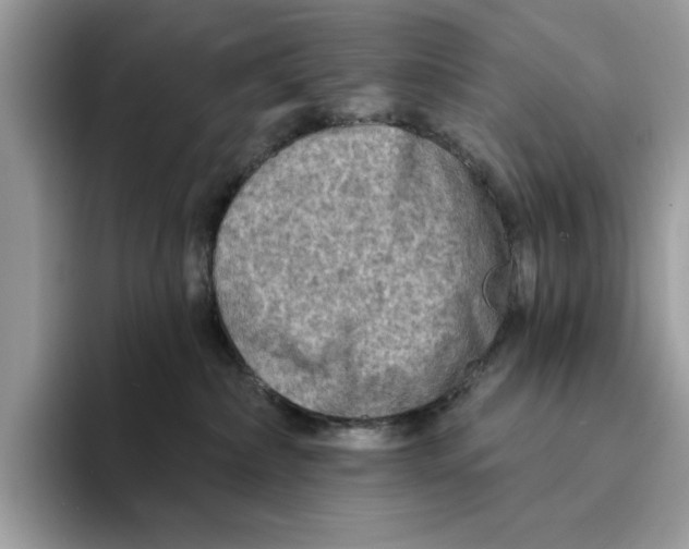 X0000094330236200711301235