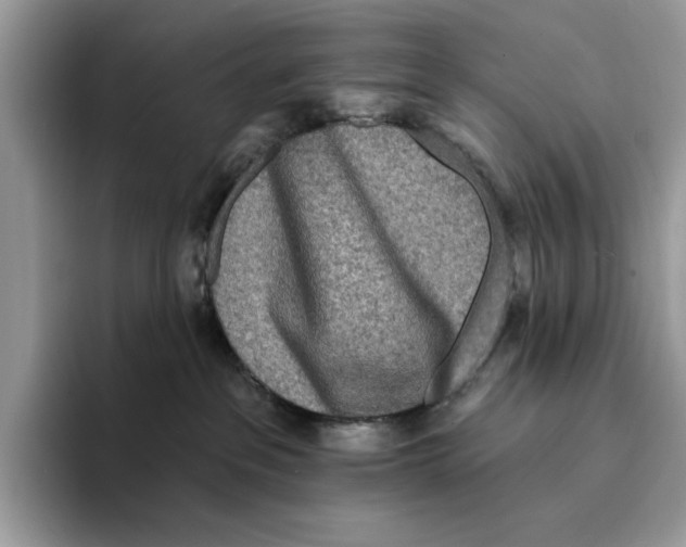 X0000094330237200711301235