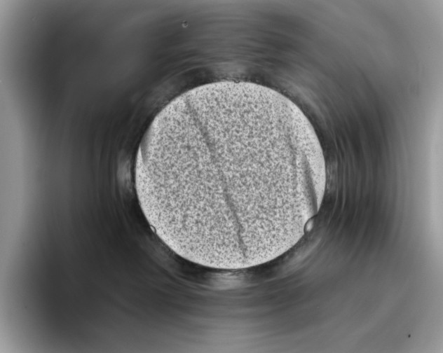 X0000094330238200711301235