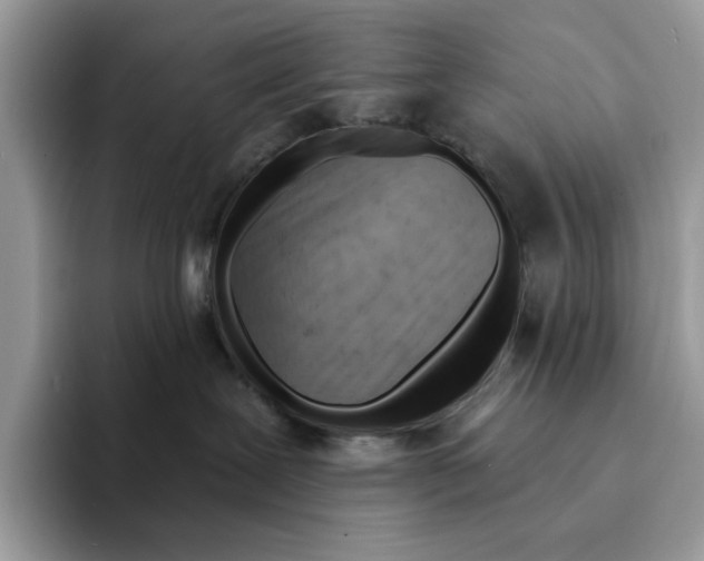 X0000094330239200711301235