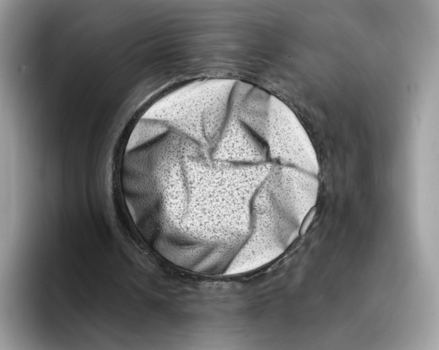 X0000094330242200711301234