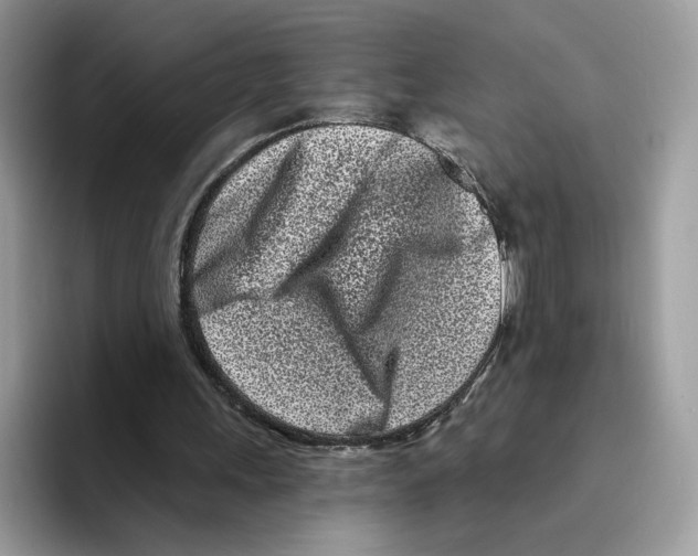 X0000094330243200711301234