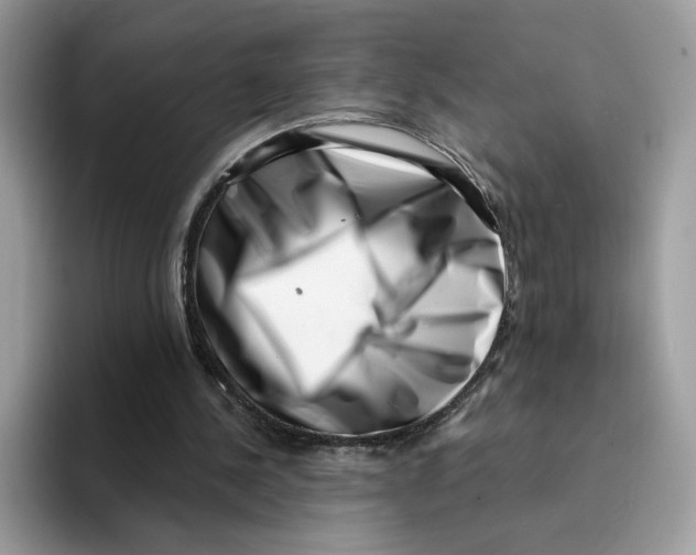 X0000094330244200711301234