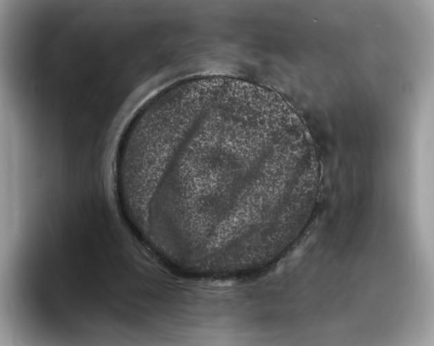 X0000094330247200711301234