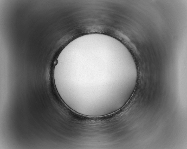 X0000094330250200711301234