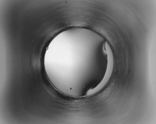 X0000094330252200711301234