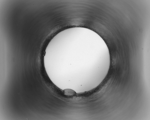 X0000094330256200711301234