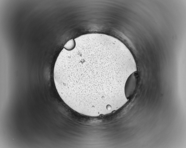 X0000094330257200711301234