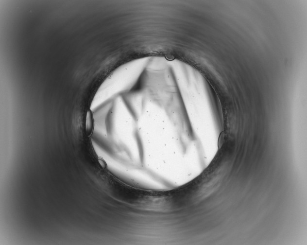 X0000094330260200711301234