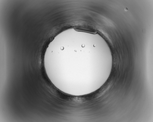 X0000094330261200711301234