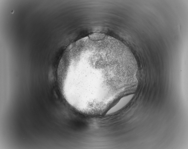 X0000094330272200711301234