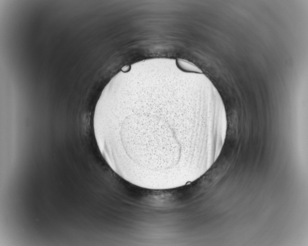 X0000094330278200711301234