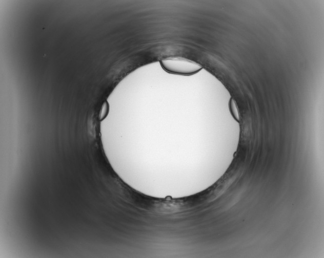 X0000094330282200711301234