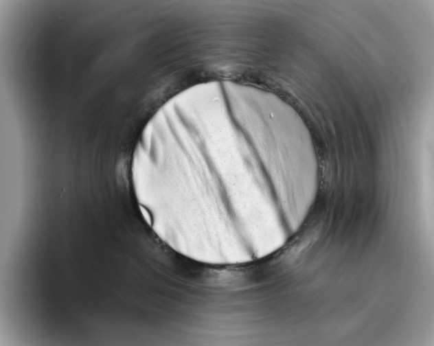 X0000094330286200711301235