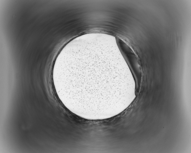 X0000094330289200711301234