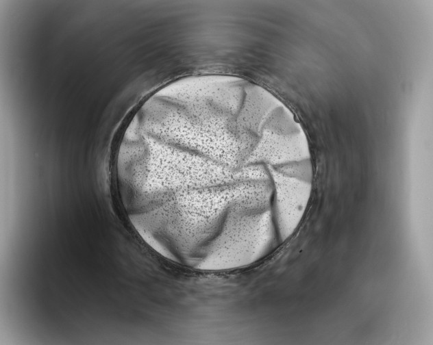 X0000094330290200711301234