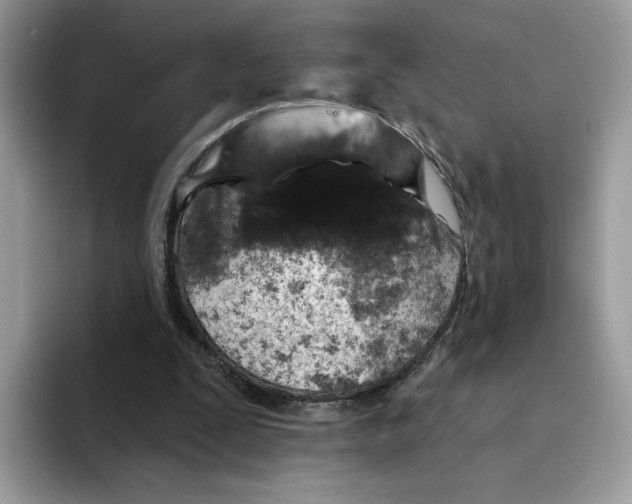 X0000094330295200711301234