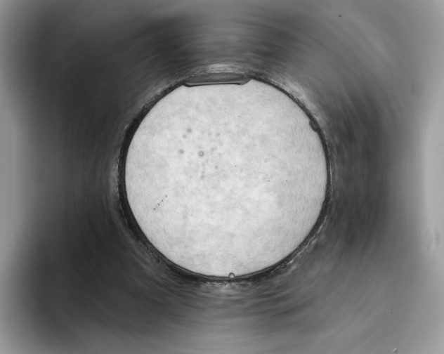 X0000094330297200711301234