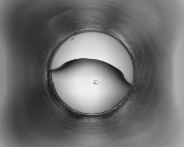 X0000094330299200711301234