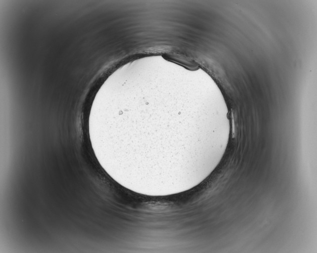 X0000094330300200711301234