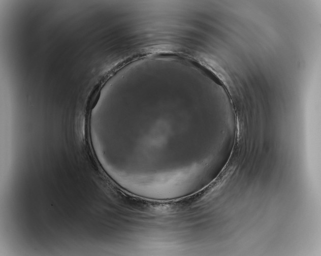 X0000094330301200711301234