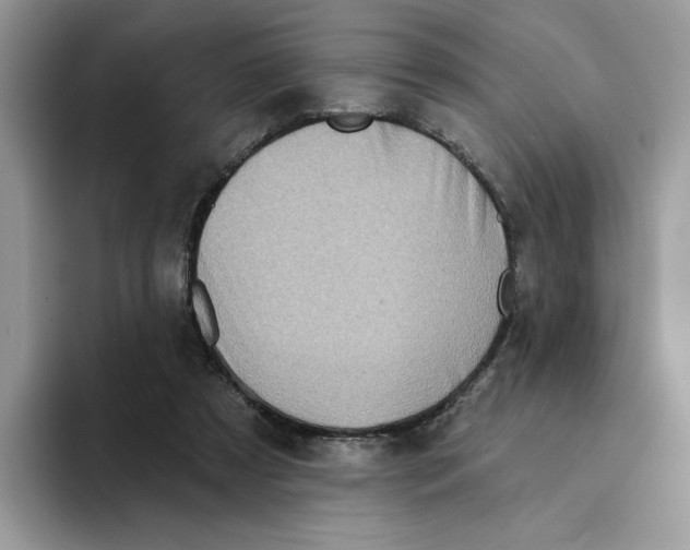 X0000094330305200711301234