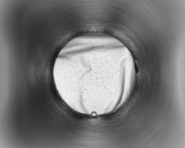 X0000094330306200711301234