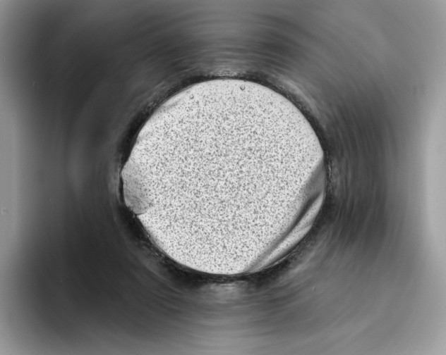 X0000094330307200711301234