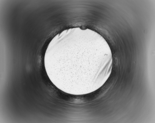 X0000094330308200711301234