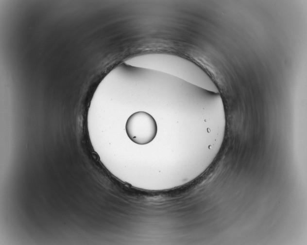 X0000094330309200711301234